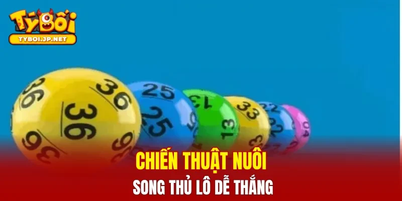 Chiến thuật nuôi song thủ lô dễ thắng