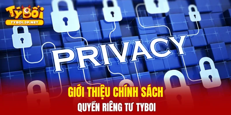 Giới thiệu chính sách quyền riêng tư TYBOI