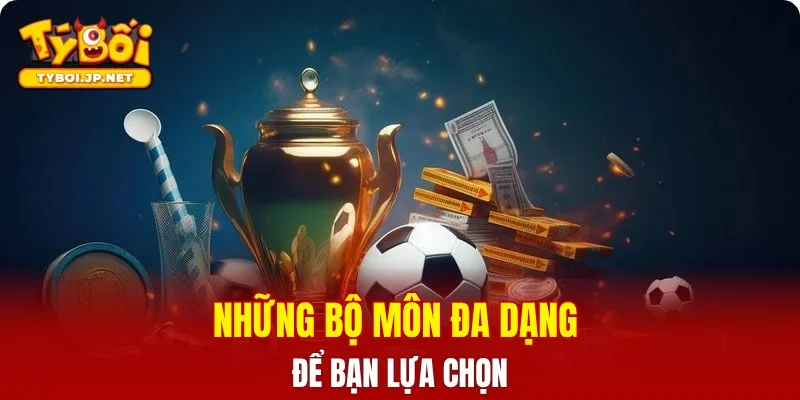Những bộ môn đa dạng để bạn lựa chọn