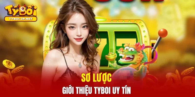 Sơ lược giới thiệu TYBOI uy tín
