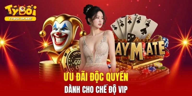 Ưu đãi độc quyền dành cho chế độ VIP